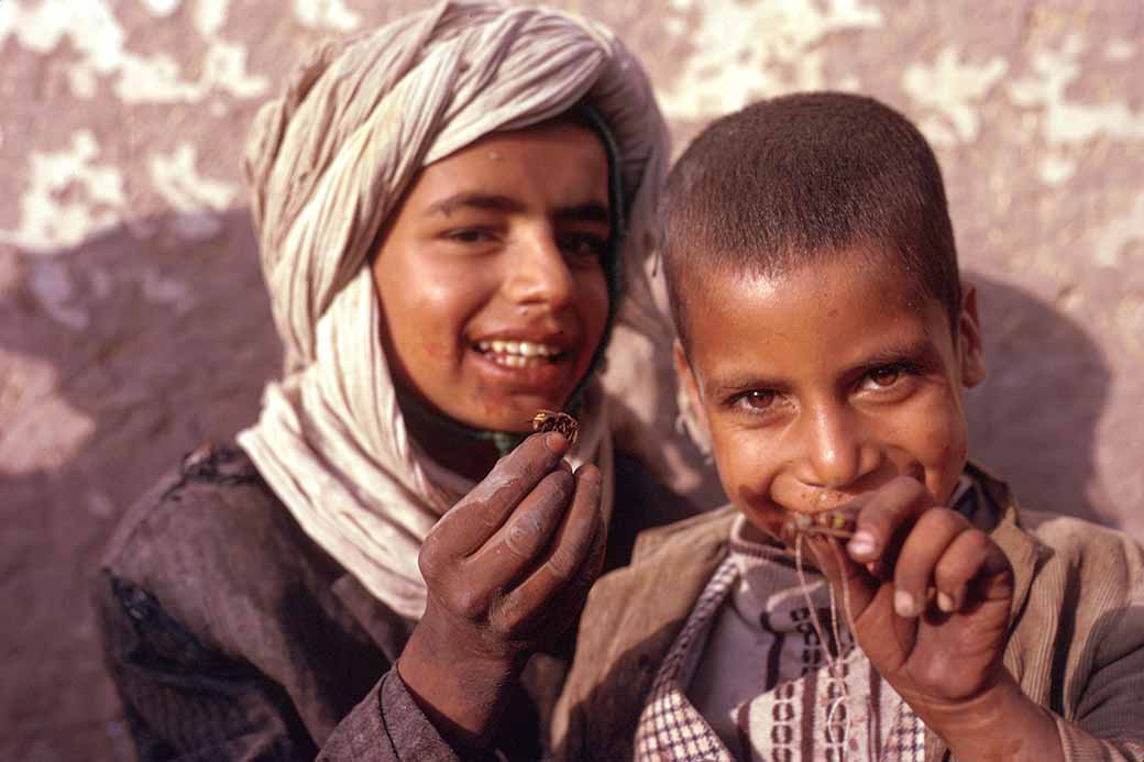 Boys from Herat