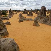 Pinnacles Desert National Park