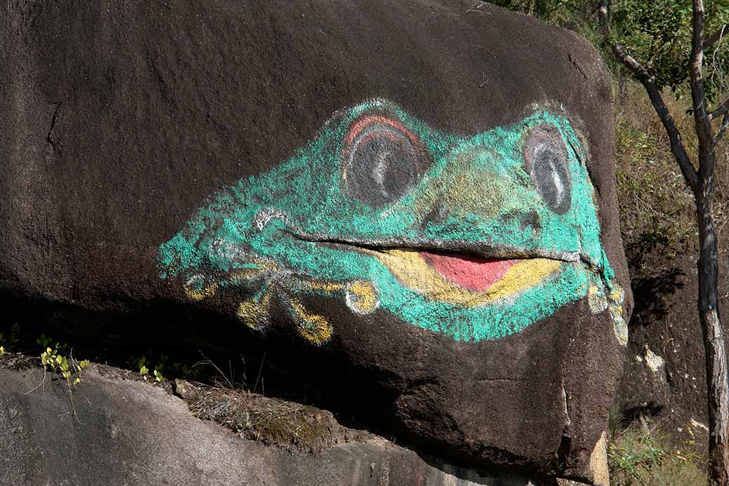 Painted frog on rock