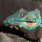 Painted frog on rock