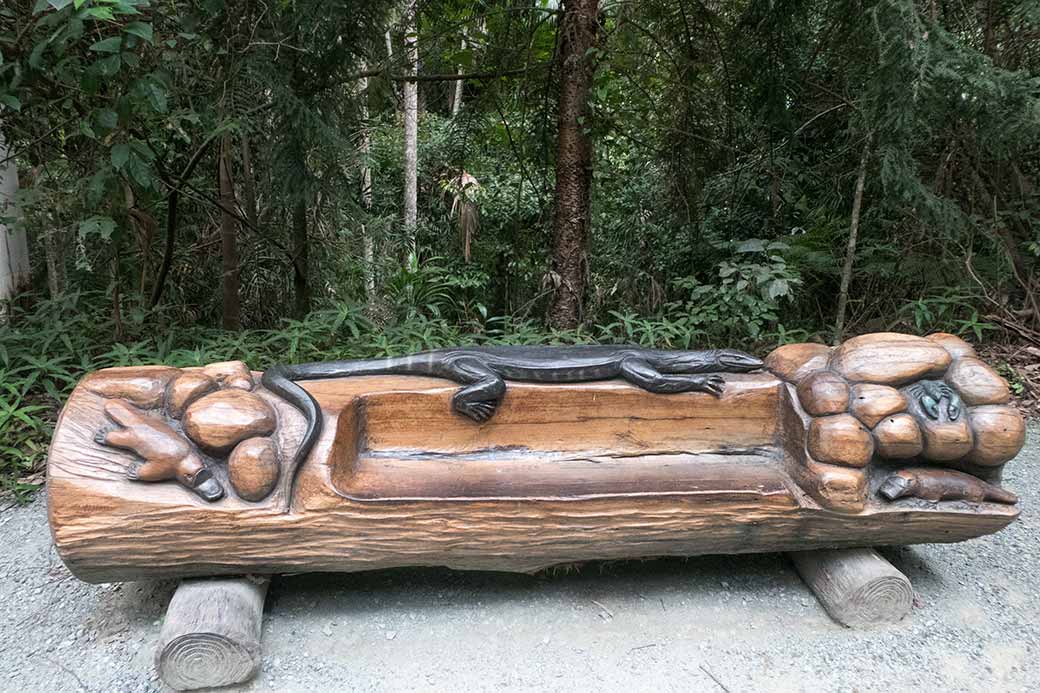 Wooden bench, Tamborine NP