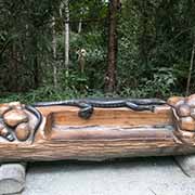 Wooden bench, Tamborine NP