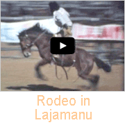 Rodeo in Lajamanu