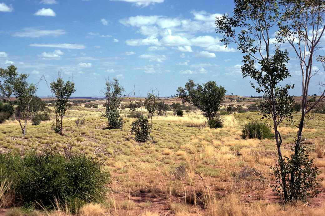 Landscape west of Nicholson