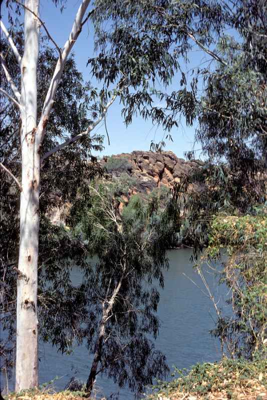 Fitzroy River in Geikie Gorge