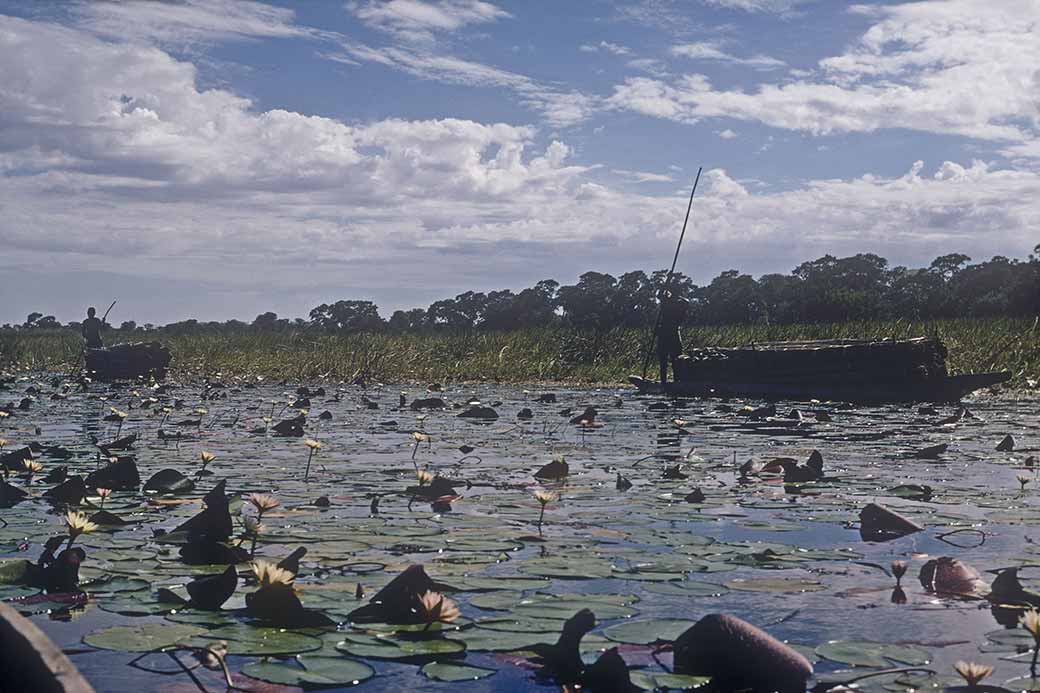 Canoes, Okavango