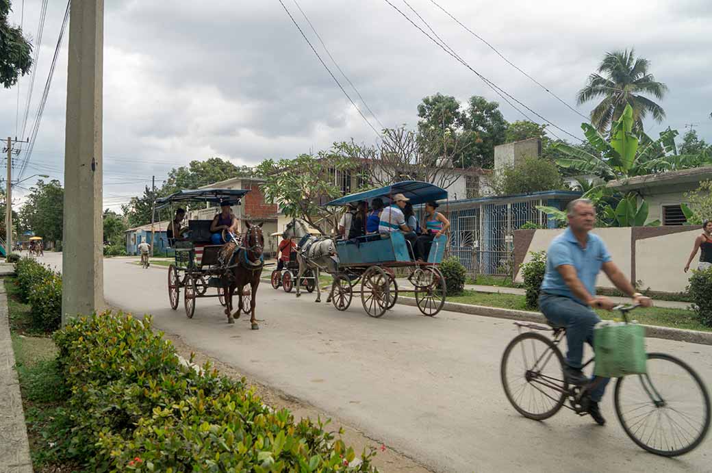Horse-drawn carriages, Bayamo