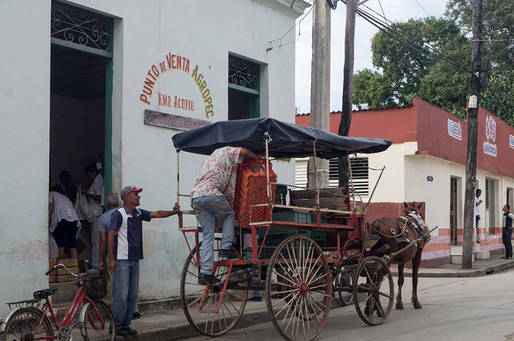 Loading a horse drawn cart, Bayamo
