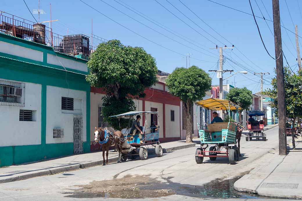 Horsecarts, Cienfuegos