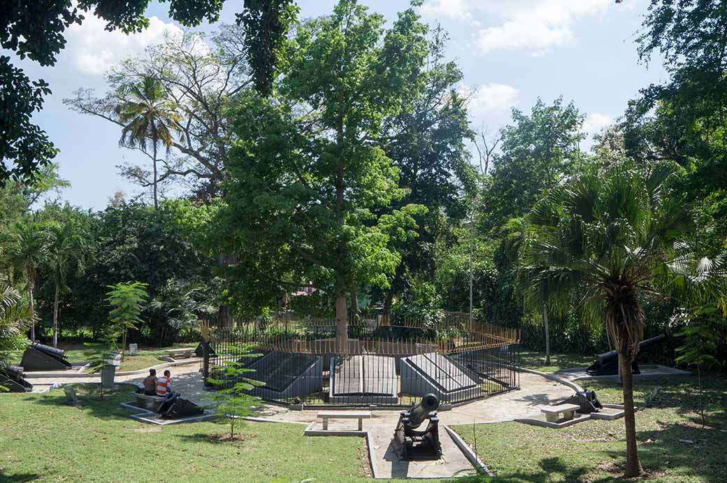 Loma San Juan Tree Peace Park