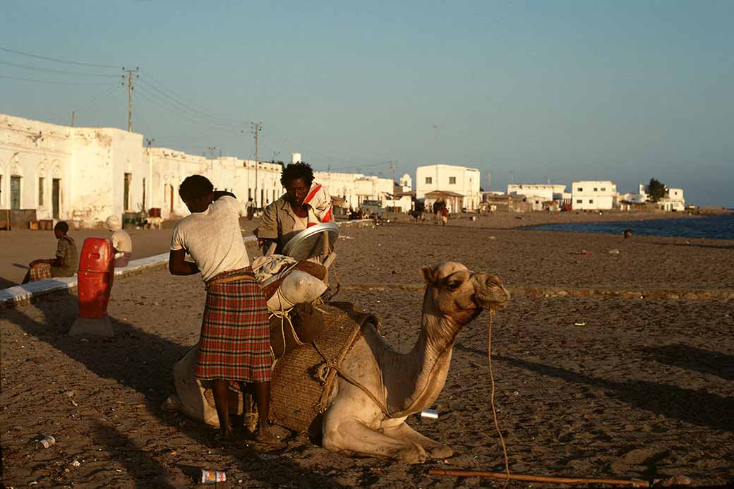 Offloading a camel