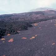Lava field, Mt. Etna