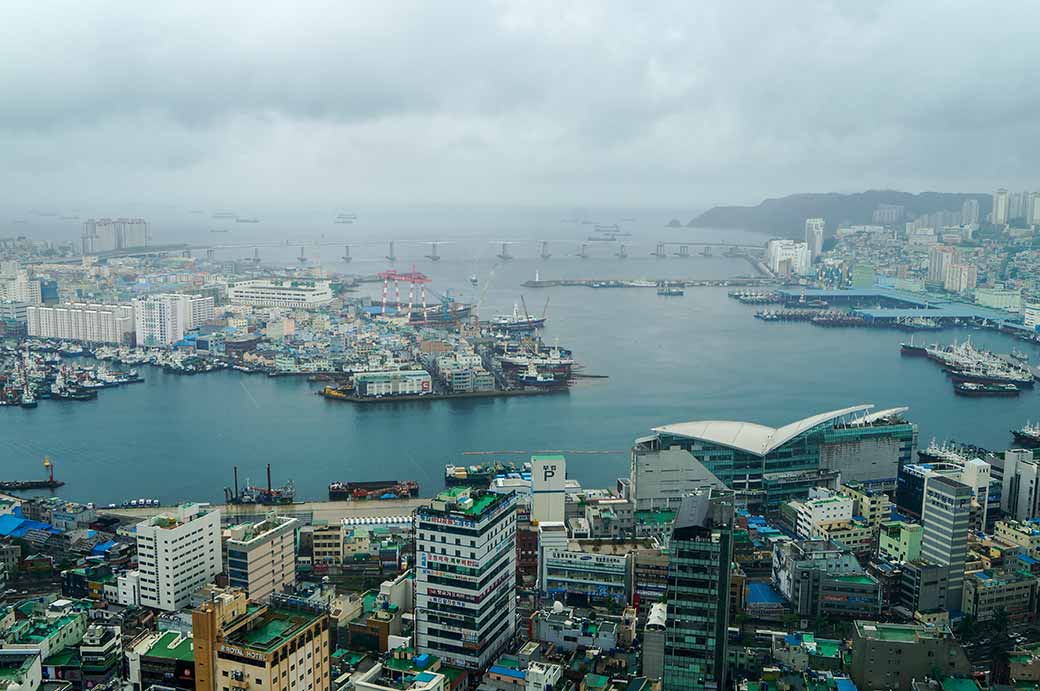 View from Busan Tower