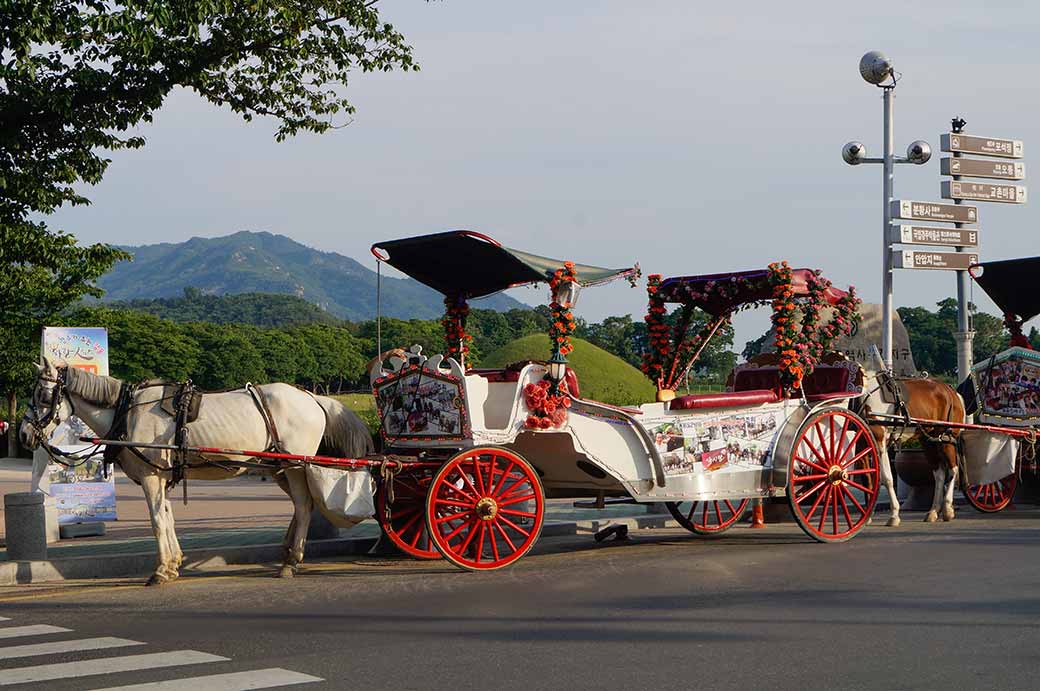 Tourists' horse carriages