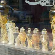 Ginseng for sale