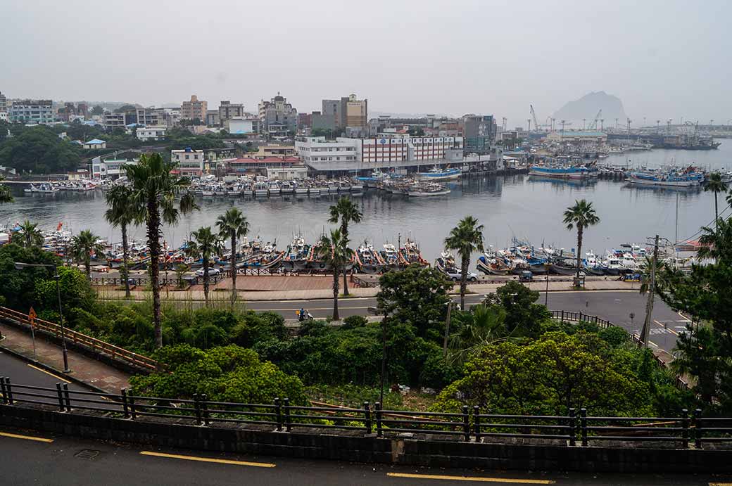 The harbour, Seogwipo