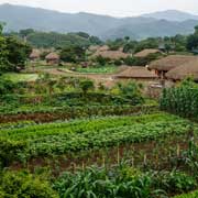 Farms and houses, Nagan