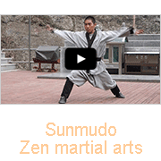 Sunmudo Zen martial arts