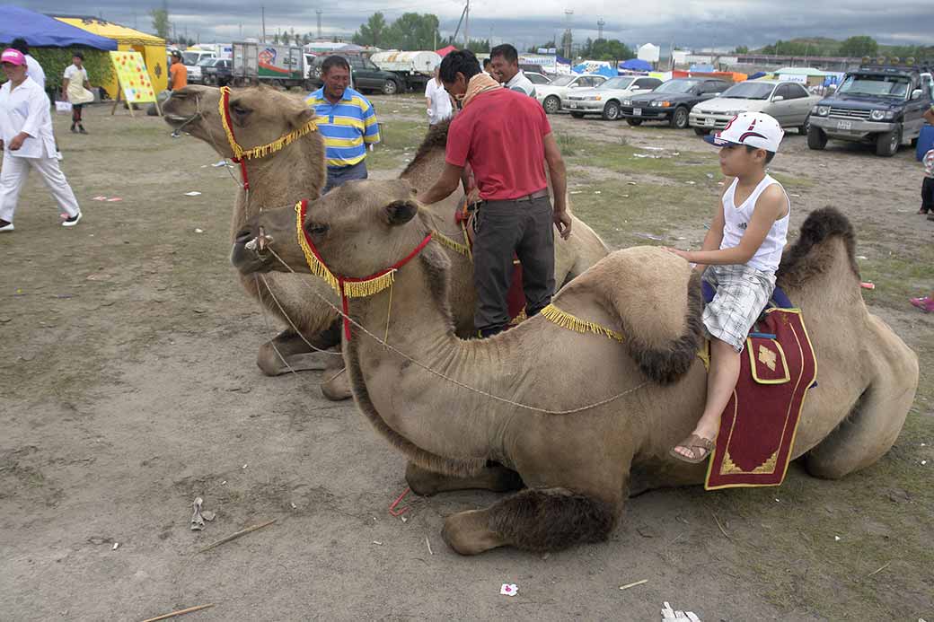 Sitting on a camel