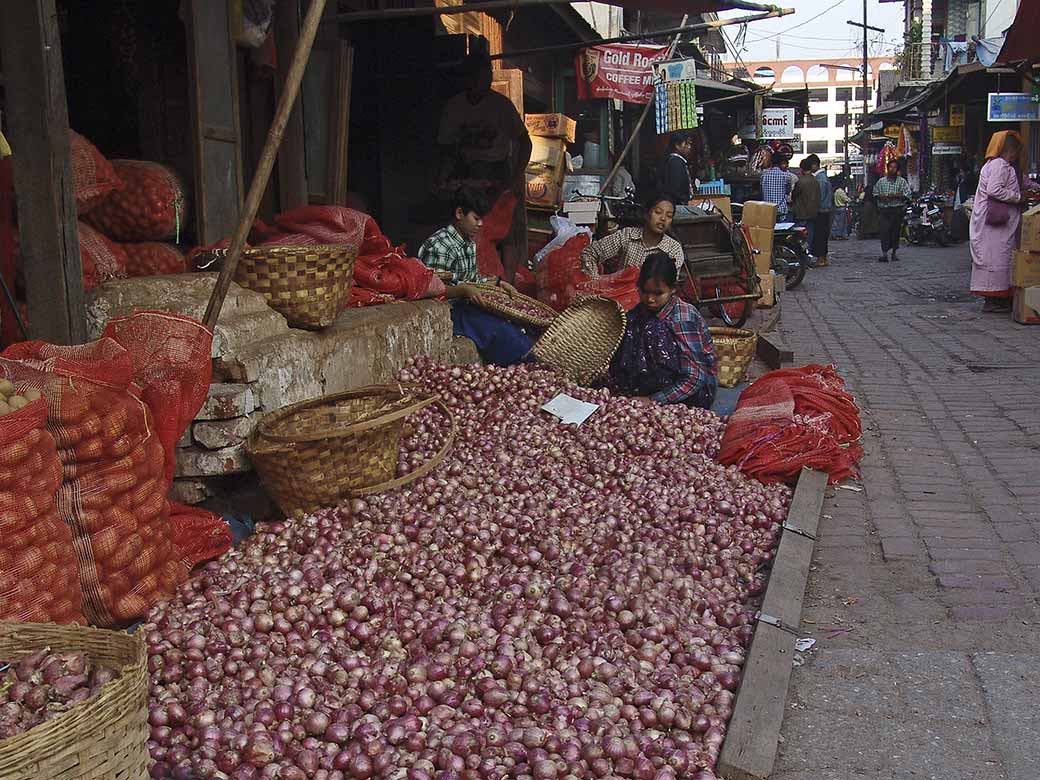 Selling onions