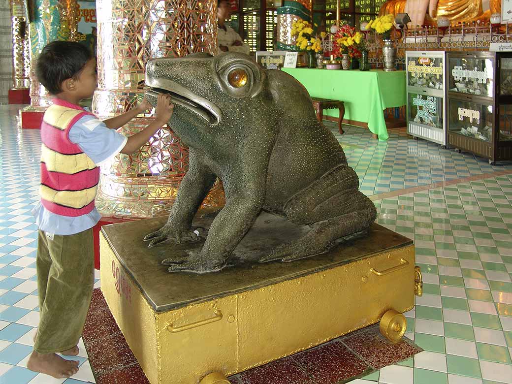 Bronze frog