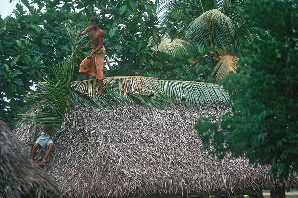 Palmleaves for the roof