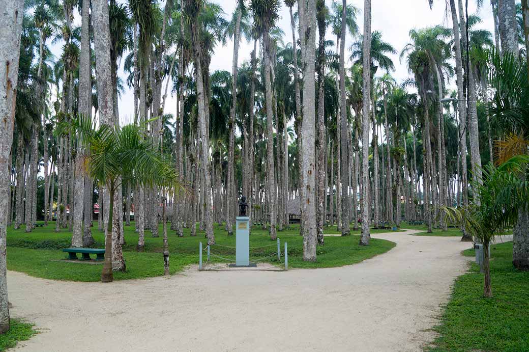 Palmentuin (Palm Garden)