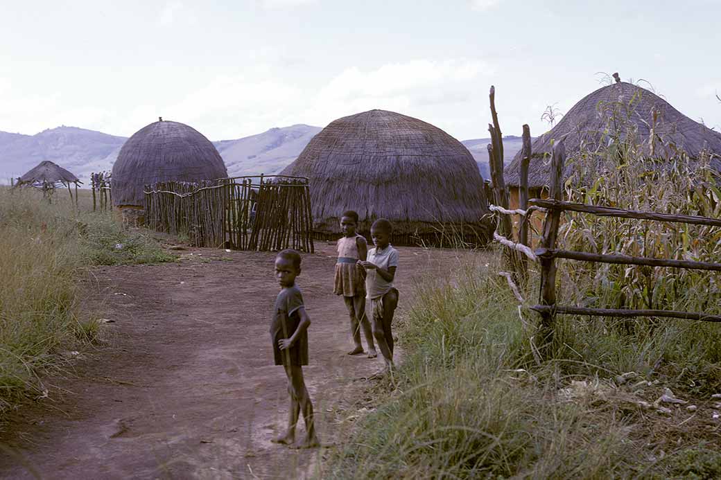 Traditional homestead