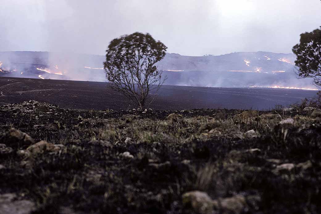 Grass fire near Nkaba