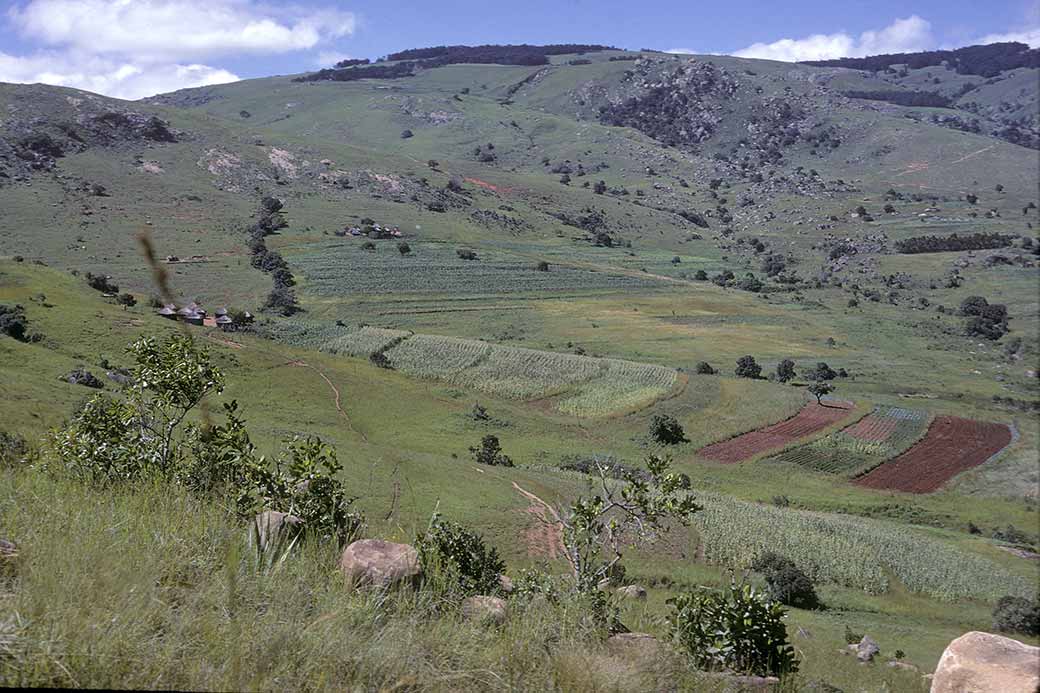 Farms near Nkaba