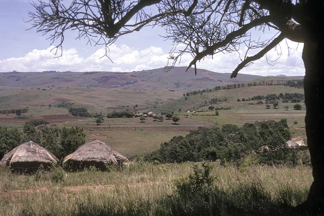 Near Nyakeni