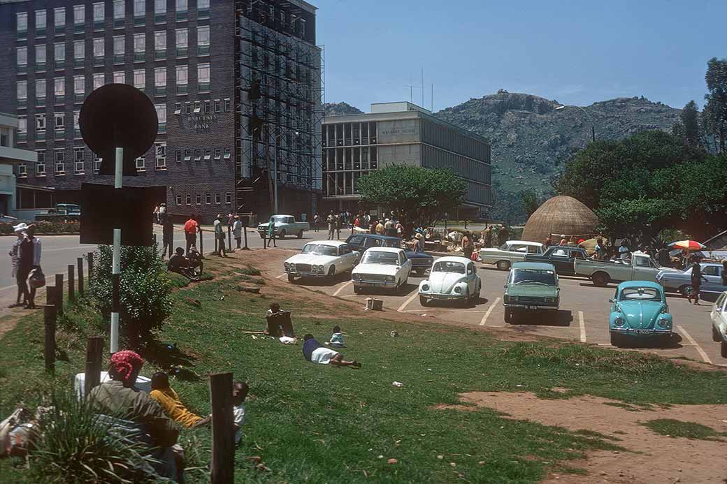 The Swazi Market