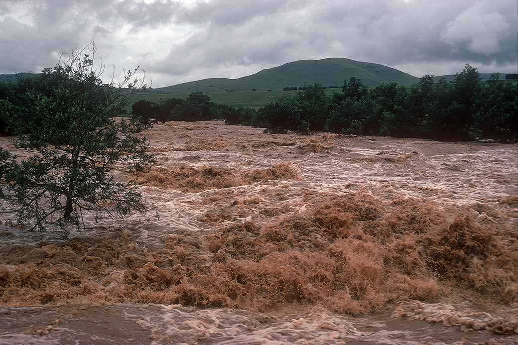 Mkondo river flooded
