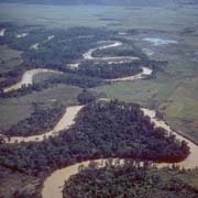 The Baliem river