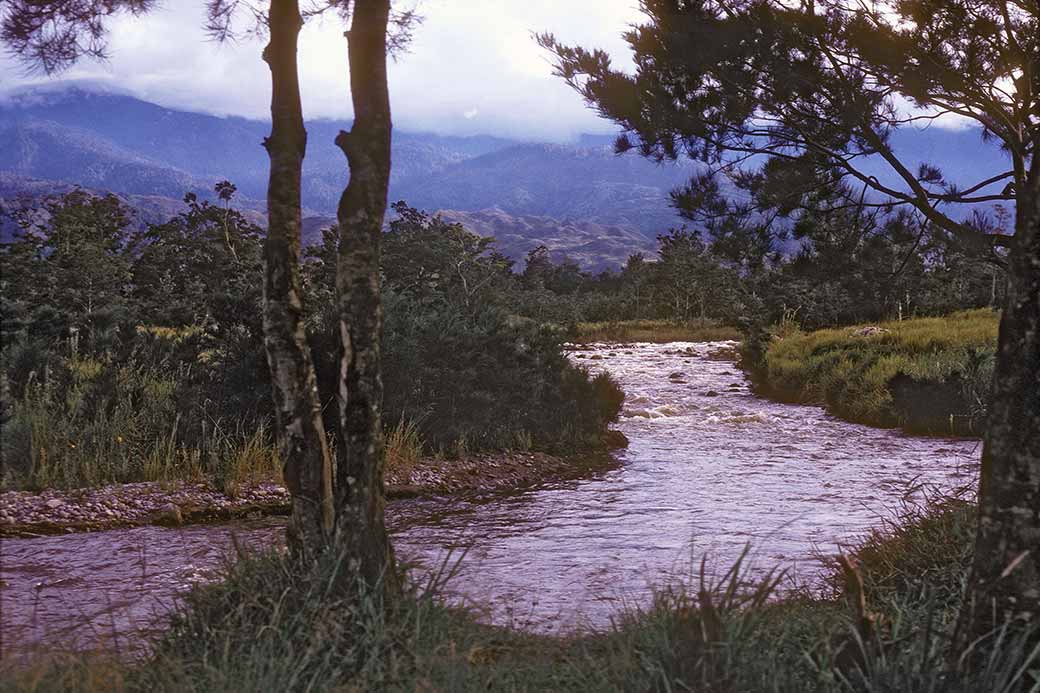 Kali Wamena