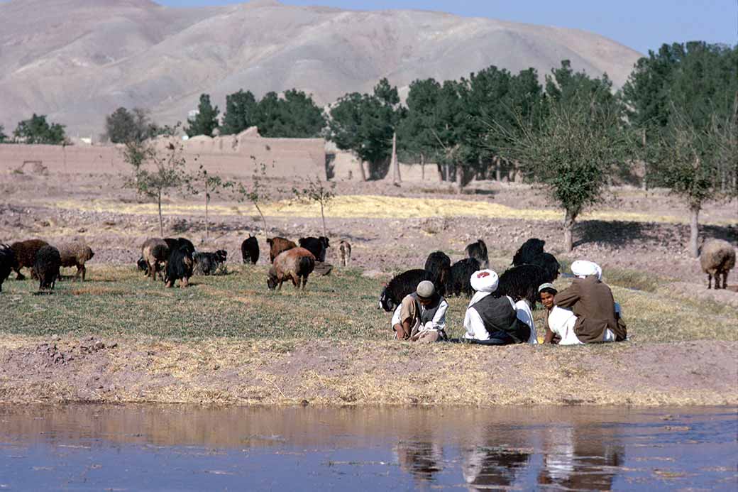 Relaxing near Herat