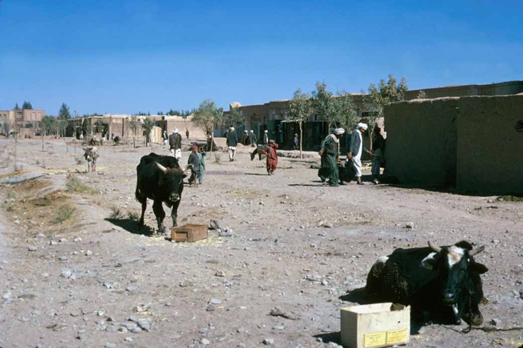 Village of Adraskan