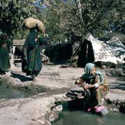 Kuchi nomad camp