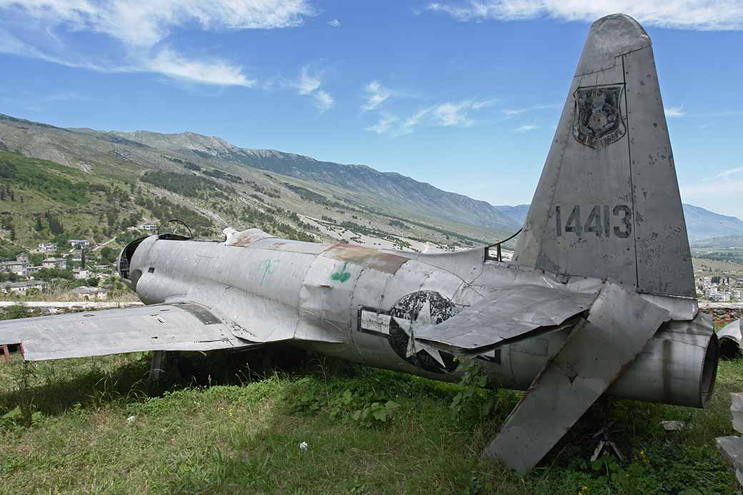 Downed US plane
