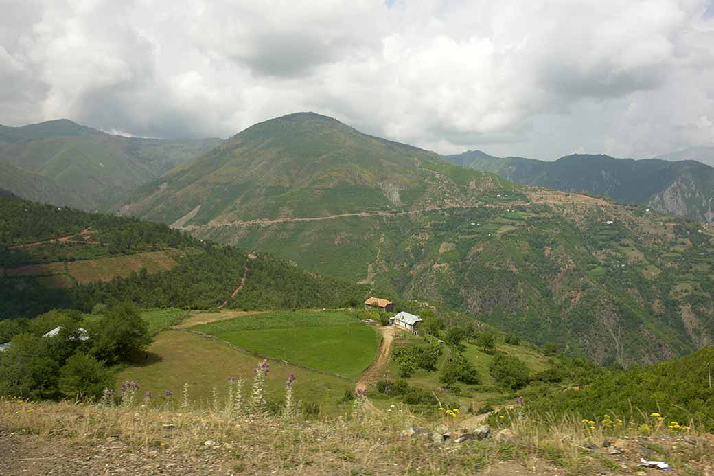 View near Dardhë