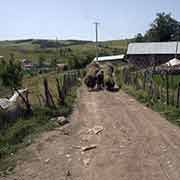 Farm road, Voskopoja