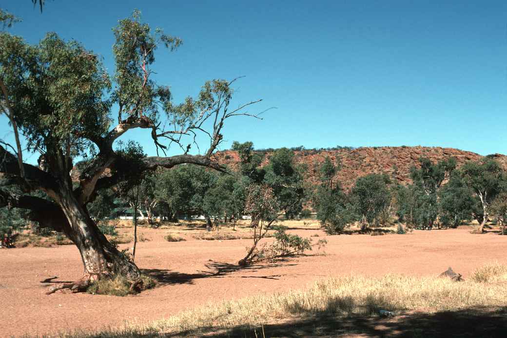 Todd River, Alice Springs