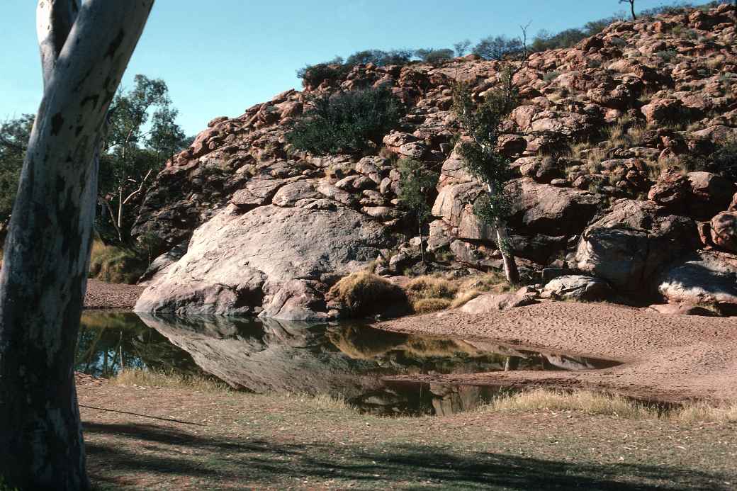 The Alice Springs