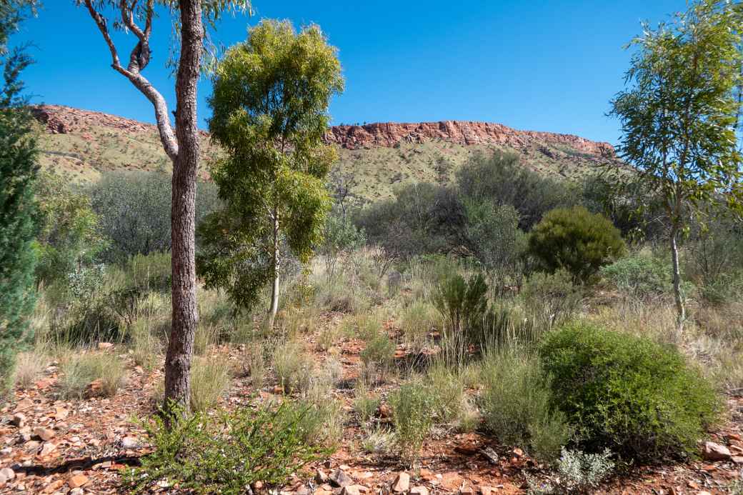 MacDonnell Ranges, Alice Springs