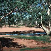Todd river, Alice Springs