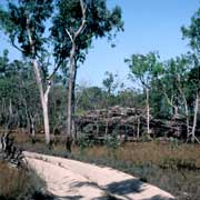 Sandy bush track