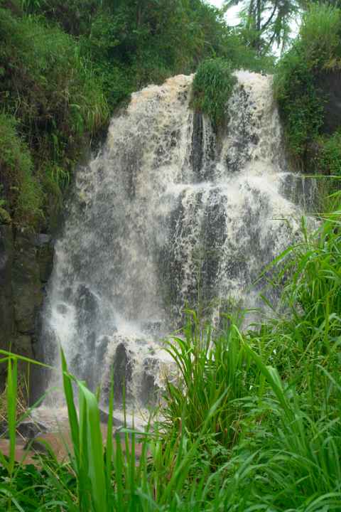 Waterfall in the Wet