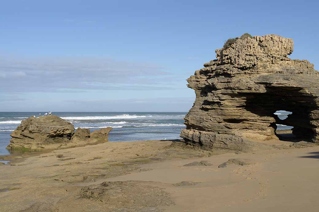 Sea sculpted rocks