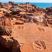 Dinosaur footprints, Gantheaume Point