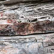 Aboriginal paintings, Cathedral Cave